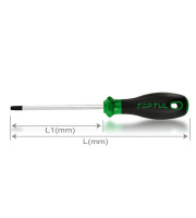 FEAF2010 Surubelnita TOPTUL Toptul 